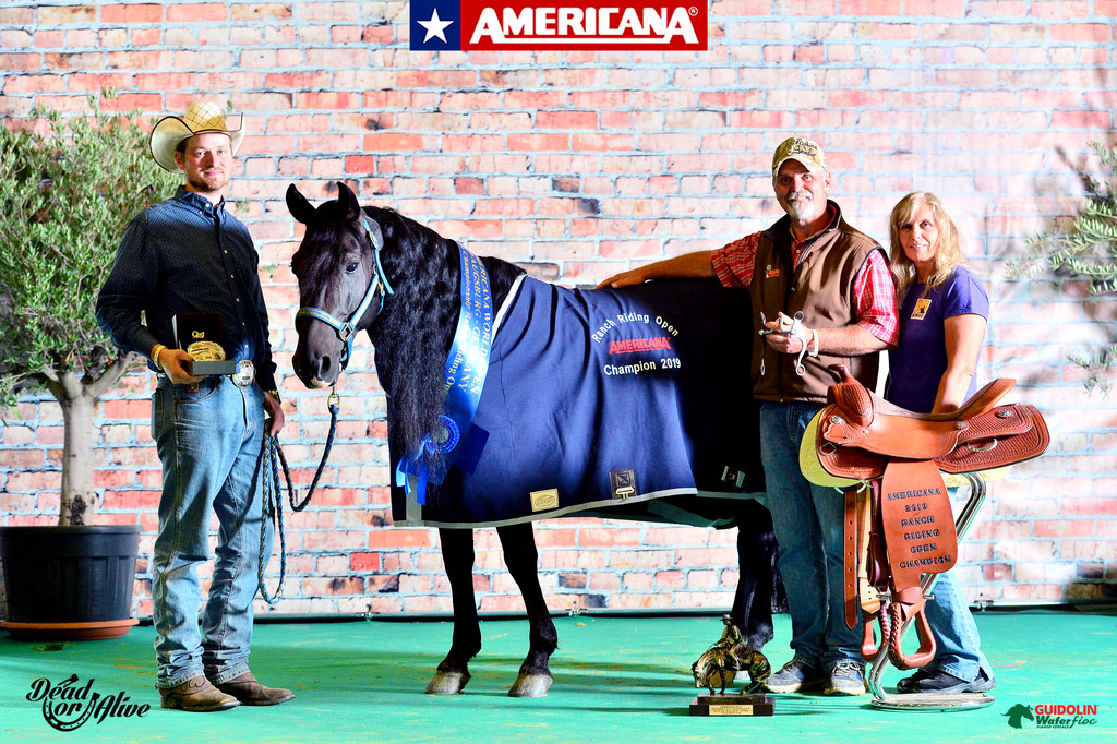 Westernpferd mit Auszeichnung und Team der Silver Rock Ranch